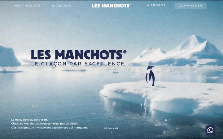 Aperçu du site Les Manchots