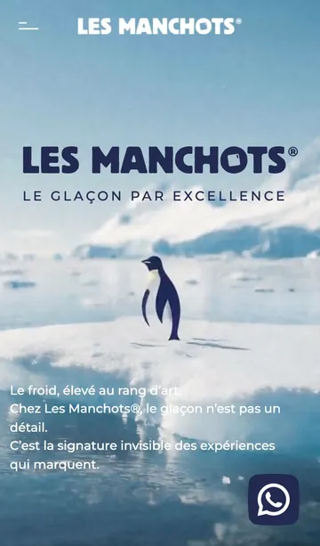 Site Les Manchots affiché sur téléphone